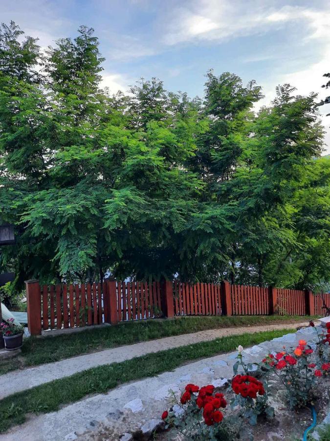 Mrdja Apartments Колашин Экстерьер фото
